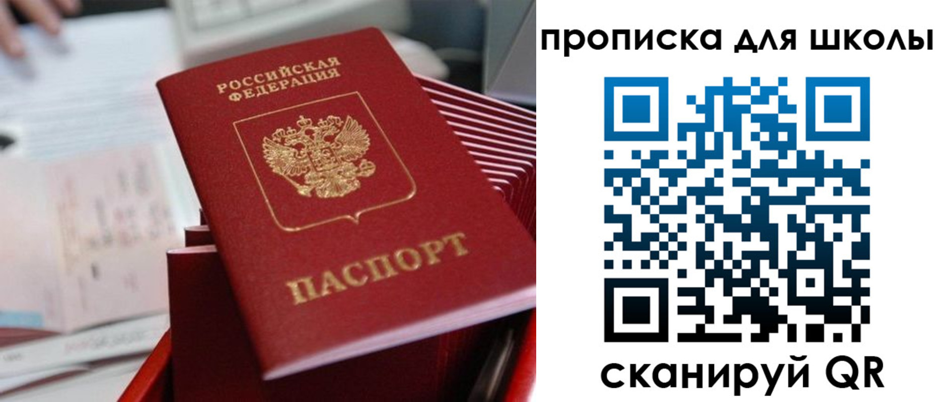 прописка для школы в Лодейном Поле